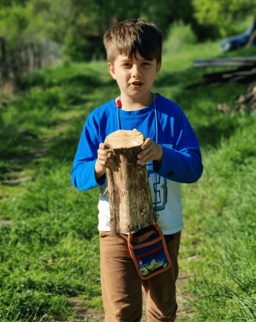 20240429_173529-816x1024