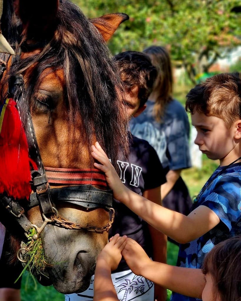 WhatsApp Image 2026-01-31 at 17.45.13-819x1024