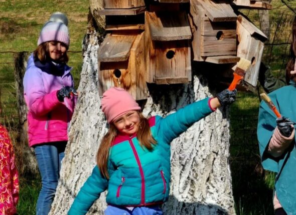 WhatsApp Image 2026-02-02 at 23.55.45-2048x922 (1)