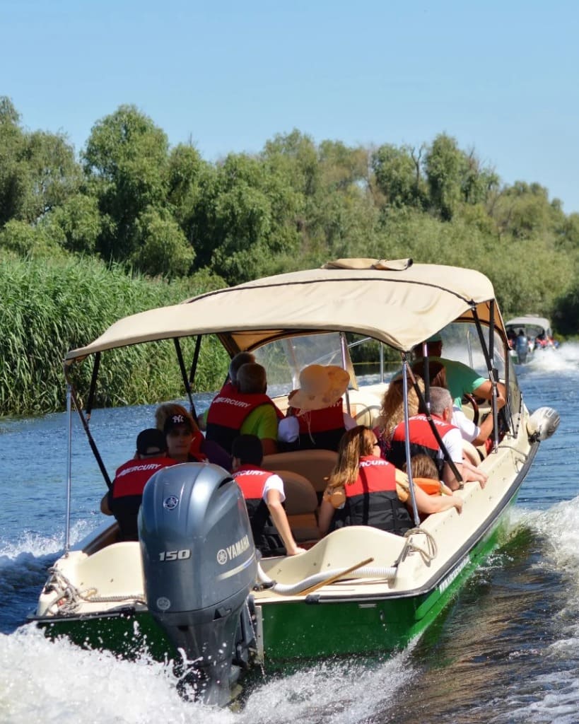 WhatsApp Image 2026-02-01 at 02.21.40-819x1024